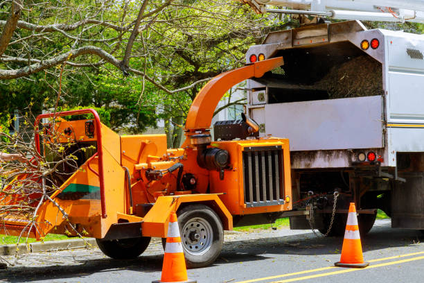 Best Hazardous Tree Removal  in Frankford, DE